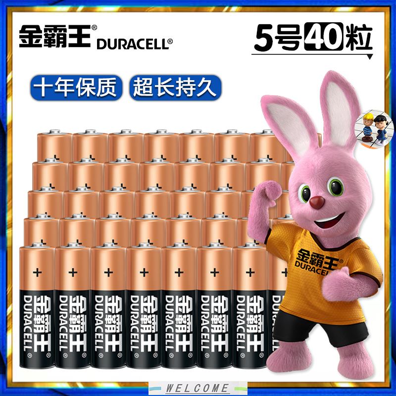 速发Duracell Plus Power AA, AAA, 9v Alkaline Batteries Lr03