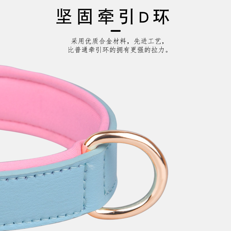 防丢刻字宠物狗狗项圈金毛拉布拉多中型大型犬狗脖圈颈.圈狗牌定