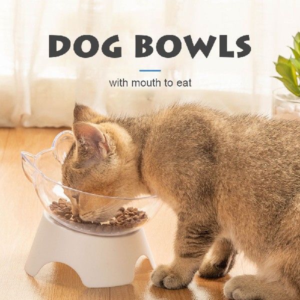 网红Pet Dog Cats Feeding Bowl Humanized Detachable Tilted