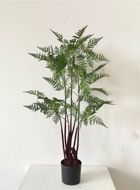 工厂销常a青仿真绿植盆栽 橱窗软装家居落地饰品设计造景 仿真铁