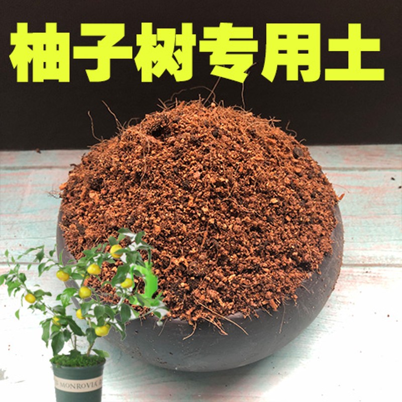 柚子树专用土柚子树土盆栽营养土酸性沙质土壤果树绿植种植土肥料