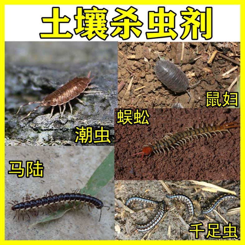 热销土壤杀虫剂植物盆栽土里杀虫药养花通用室内花土杀虫杀菌药花