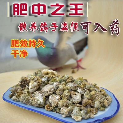 发酵鸽子粪肥干鸽粪农家肥鸟粪肥料生物有机水果树种花散装种菜花