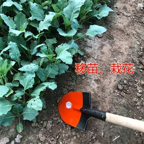 加厚家用农用小铁铲平头花园土铲子铁锹木炭煤铲野菜铲灰铲火钩子