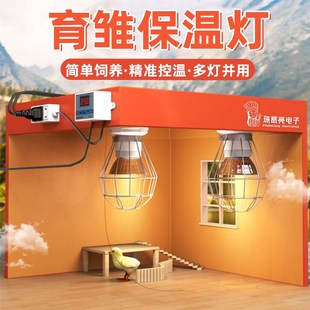 芦丁鸡保温灯自动控温保温箱保暖灯小鸡育雏爬宠养殖场加热取暖灯