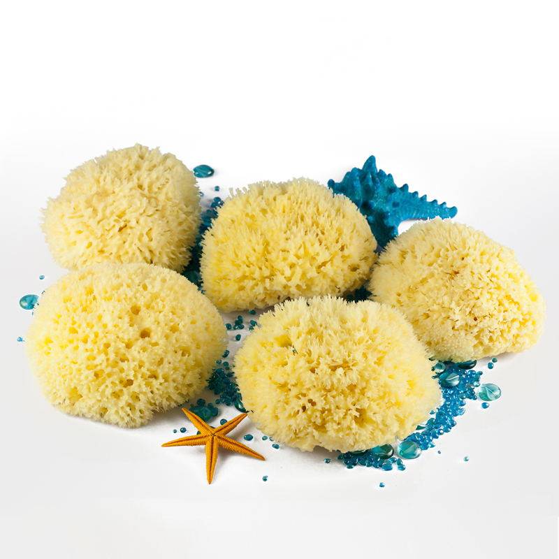 大号天然海绵蜂窝洗澡沐浴球超柔软女搓澡泡泡浴花球浴花高档不散