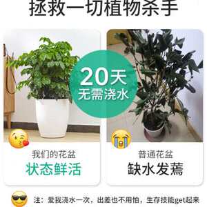 大绿萝花盆自动吸水北欧落地客厅懒人家用圆形大R号花盆白色塑料