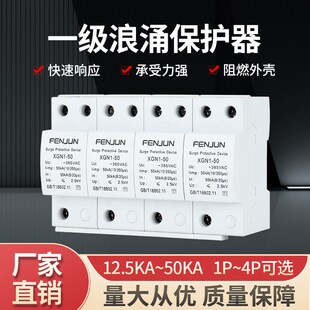 一級T1浪涌保護器一級防雷器12.5KA 4P電涌避雷器 100KA2P