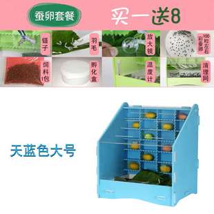 蚕宝宝学生养蚕套装 新品 养育仓专用盒房子养殖箱养蚕盒养育小学生