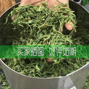 家用小型全自动揉茶机电动不锈钢炒茶机手工手动揉捻茶叶加工设备