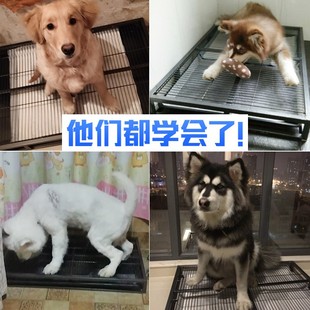 狗狗厕所大型犬金毛哈士奇尿盆大便便盆拉屎便便神器室内大狗用品