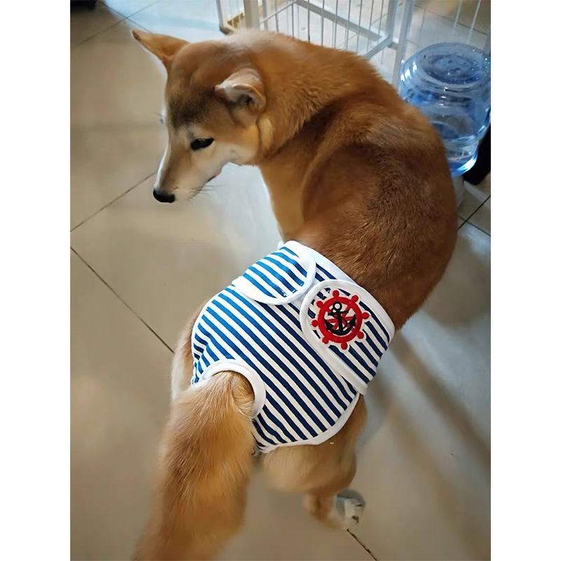 极速发货a狗狗生理裤女大型犬金毛泰迪柴犬柯基月经安全裤卫生裤