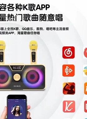 SD317蓝牙K歌一体机麦克风y手机K歌家用蓝牙音箱双喇叭双麦克风