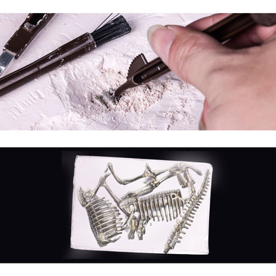 极速Dinosaur Fossil Excavation Kits Education Archeology Exq