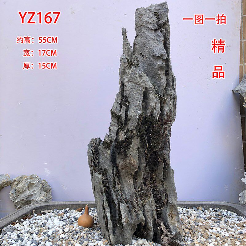 英德石附树石造景长条石玉汉盆景天然抱i树石绿植花盆庭院客厅摆