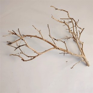 吊灯干枝分枝干树枝装饰树干枯枝室内天花板挂灯插花挂件舞台摆件