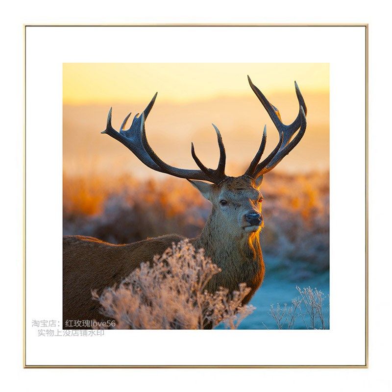 卧室装饰画墙画客厅挂画沙发背景墙壁画麋鹿玄关过道奶油风简约画,家居饰品,现代装饰画,淘宝优惠券,粉丝福利购,淘宝优惠卷
