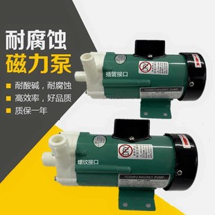 55R 20R 30R 美容仪器泵微型磁力泵 耐腐蚀电渡水泵 10RN 15RM