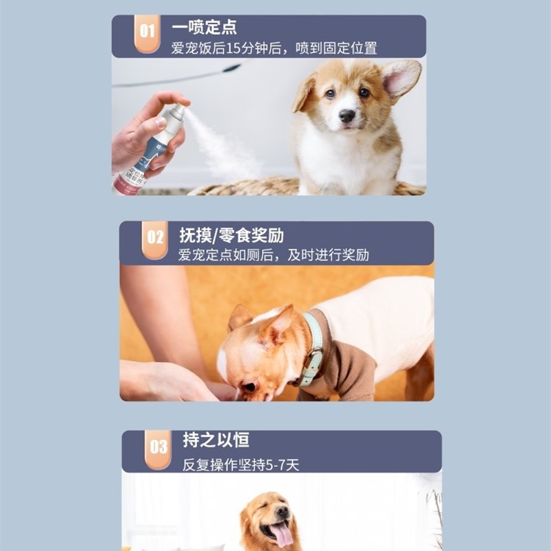 inducer doig defecation fixed-point antd dog urine.iefeca-封面