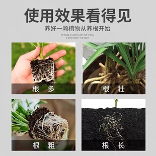 花肥家用盆栽通用缓释肥颗粒化肥氮磷钾肥料花卉绿植控释肥复合肥