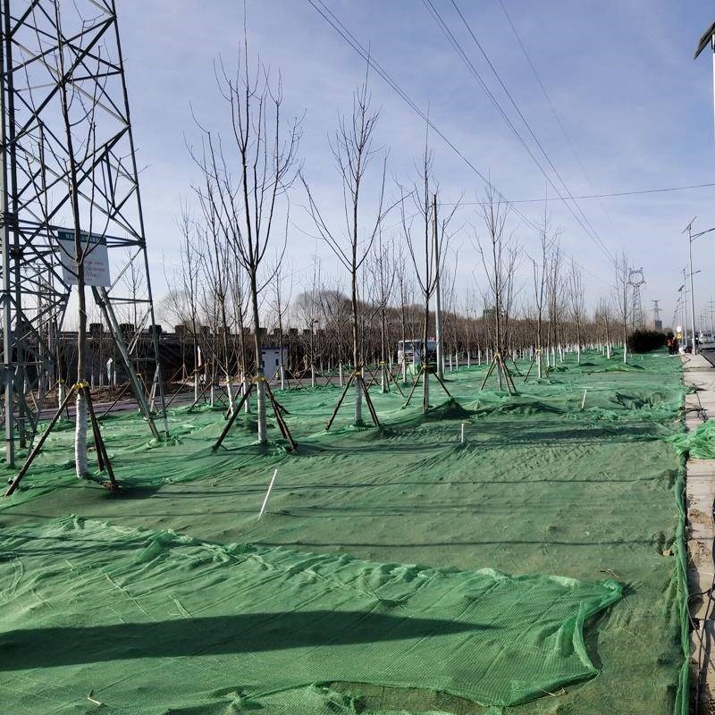 防尘网盖土网保覆环防尘工地网绿化绿色盖建筑沙盖煤盖黑色绿网网图片