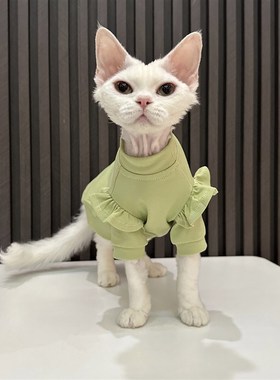 任发财绿色花边T恤无毛猫衣服德文衣服斯芬克斯猫X夏季纯棉透气