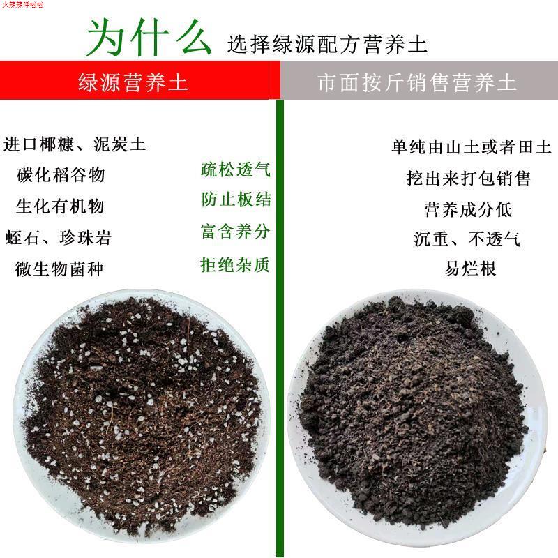 新品Potting soil organic soil, succulent soil, vegetable soi