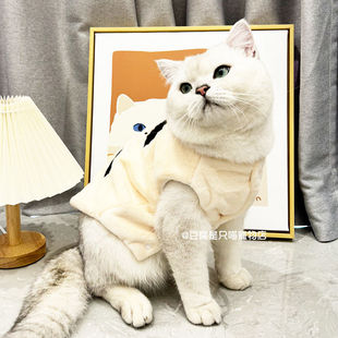 金银渐层布偶英短矮脚幼猫奶牛款 宠物小猫咪衣服秋冬装 保暖两脚衣
