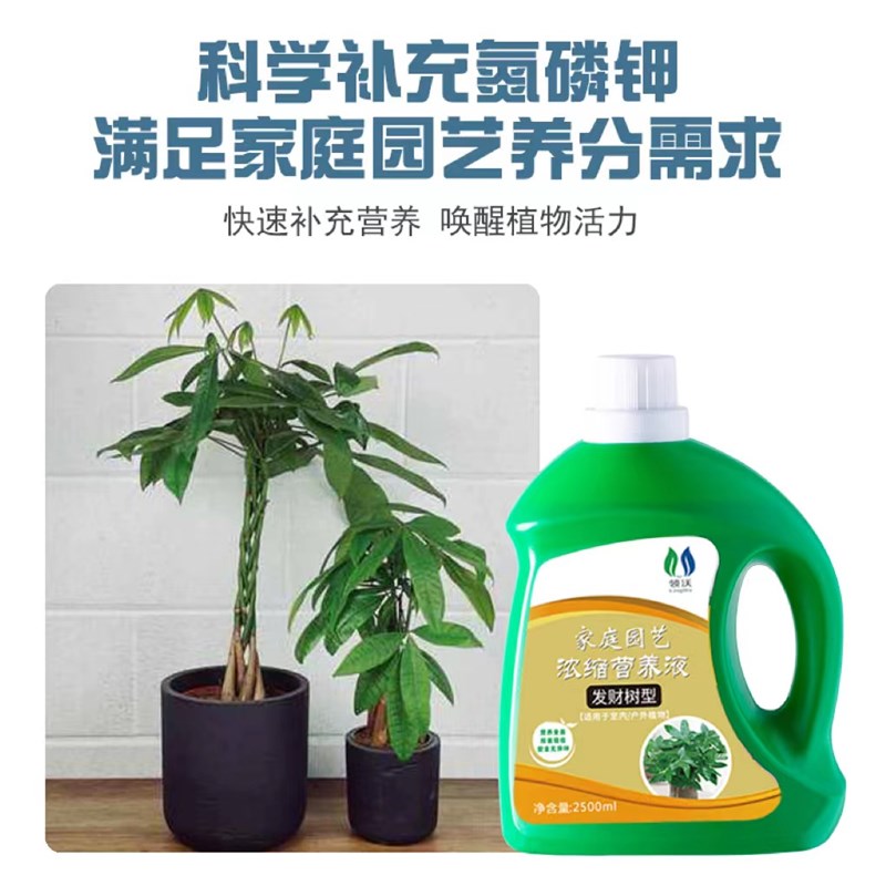 发财树营养液专用肥花肥料室内盆栽植物金钱树土水培通用浓缩家用