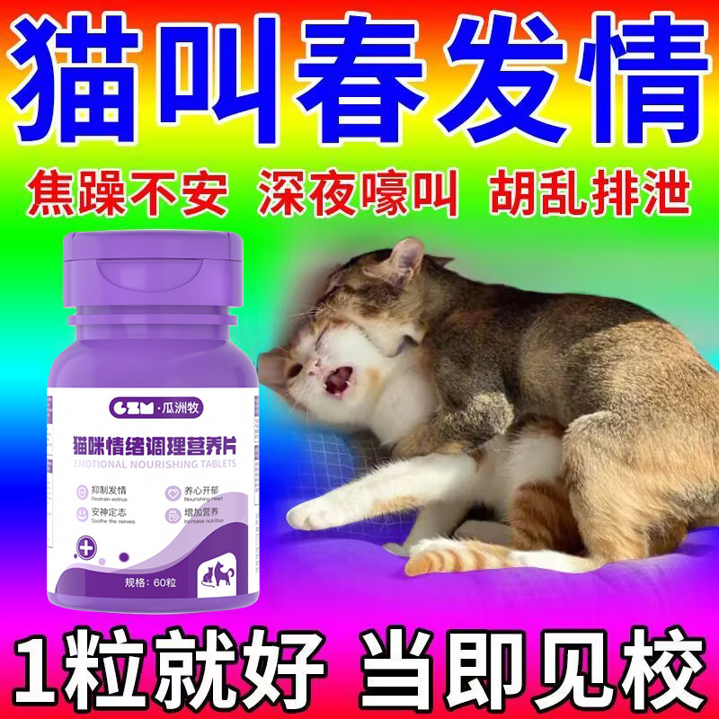 猫咪禁情静情粉母猫专用发情期抑制非药绝育禁粉公猫闹喵叫抑情片