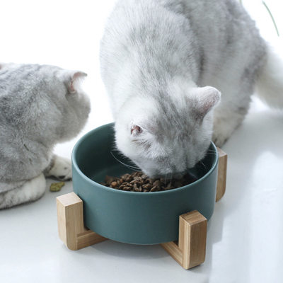 陶瓷猫碗猫咪食盆猫咪粮碗狗盆狗碗饮水碗双碗保护颈椎宠物碗用品