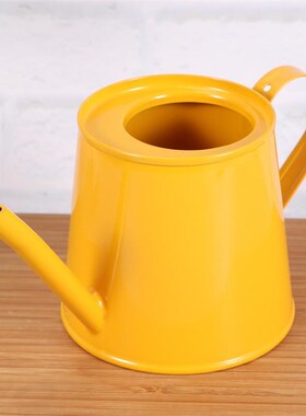Water Can Garden Mini Iron Watering Can Household Watering C