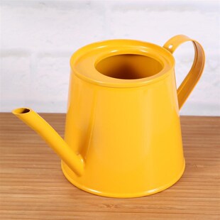 Water Can Garden Mini Iron Watering Can Household Watering C