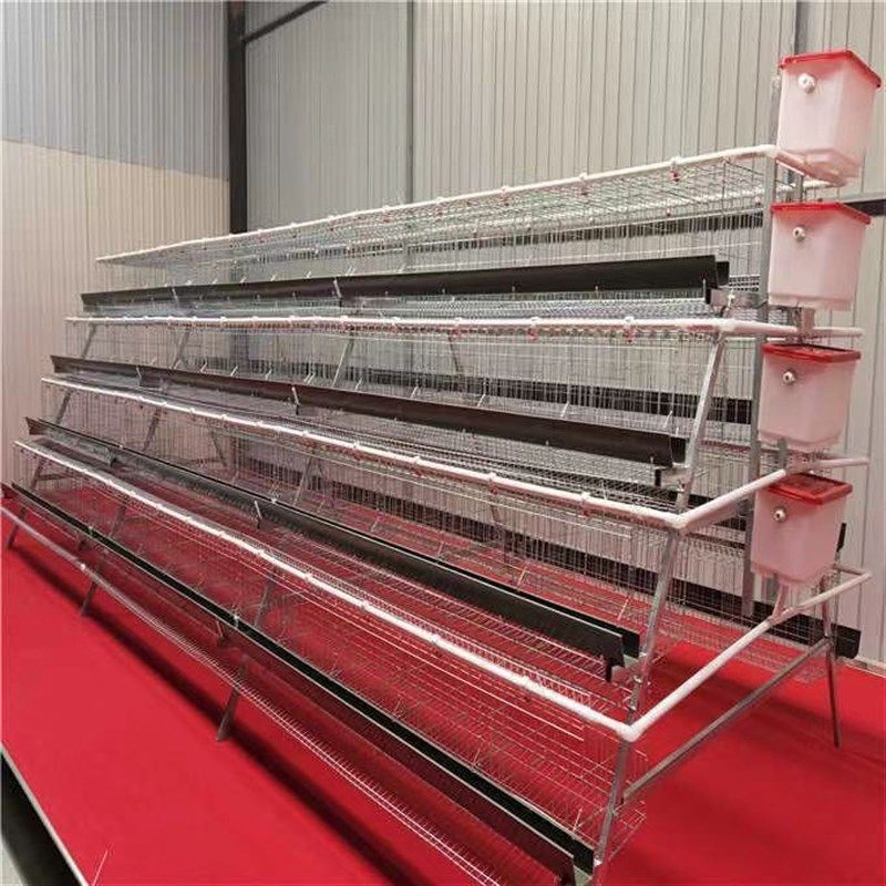 阶梯式蛋鸡单边双边三层自动笼位笼子鸡笼家用加粗养殖场养殖笼具,畜牧/养殖物资,畜牧/养殖器械,淘宝优惠券,粉丝福利购,淘宝优惠卷