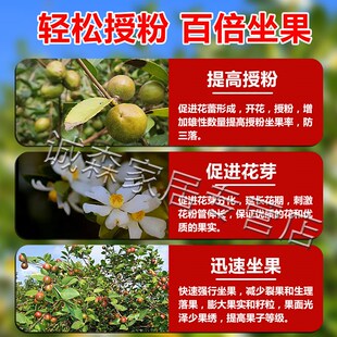 油茶保花保果药防落果素摧花授粉坐果精果树专用一包搞定叶面秋肥
