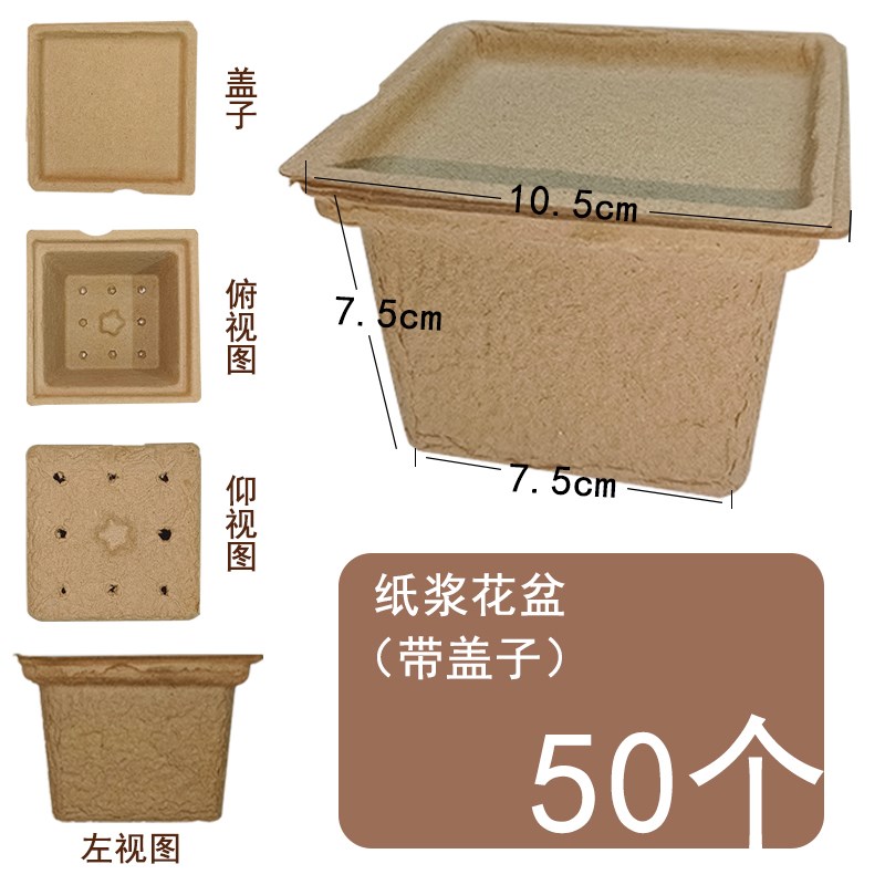 小众高货纸浆花盆创意墙饰幼儿园环创区角装饰美工室手工材料主题