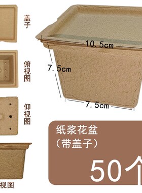小众高货纸浆花盆创意墙饰幼儿园环创区角装饰美工室手工材料主题