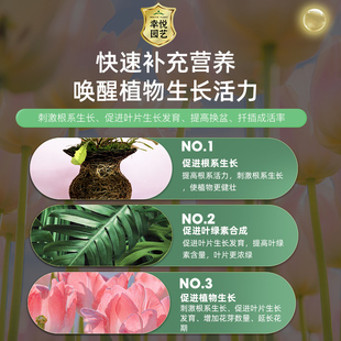 郁金香专花缓释肥复合肥家用型控C释颗粒卉物盆栽绿植用植养花肥