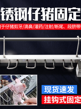 小猪挂猪架猪用断尾灌药滴鼻剪牙挂钩固定架仔猪阉割架打针固定器