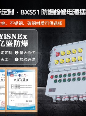 防爆仪表箱 防爆接线箱IIB IICy Extb 防爆检修箱BXS51防爆控制箱