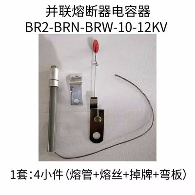 BR2 BRN BRW-10-12KV高压并联电容器20A65A70A100A熔断器管保险丝