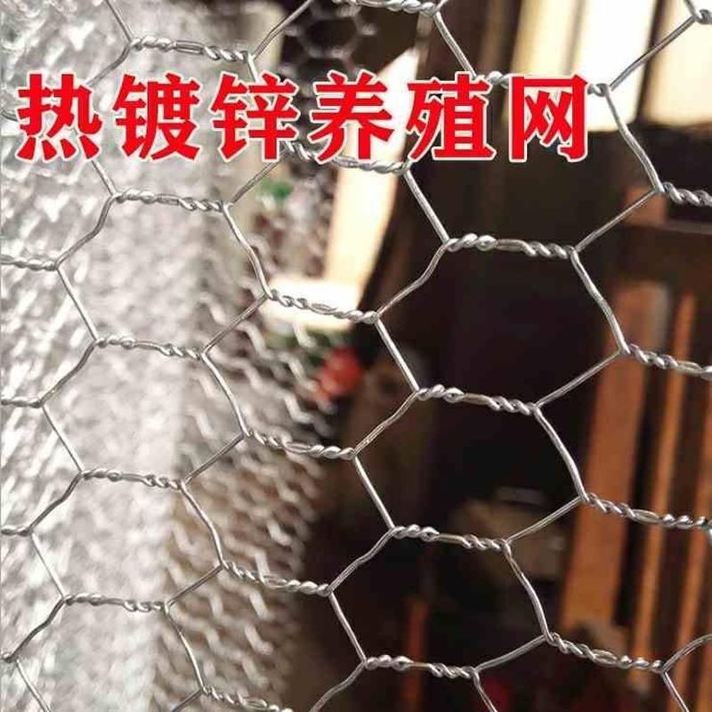 围网钢丝网六角隔离网鸭销狗网直拧猪养殖鸡花牛兔羊铁丝网护栏网