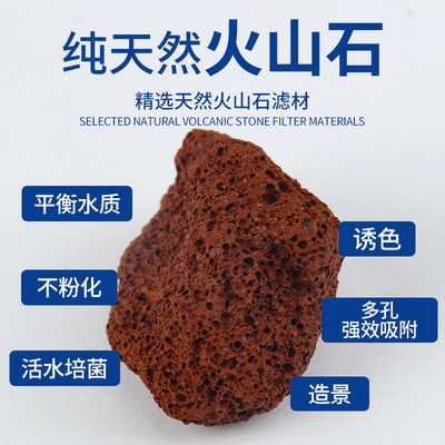 火山石鱼缸滤材硝化细菌屋鱼缸鱼池过滤材料水族专用净水养鱼用品