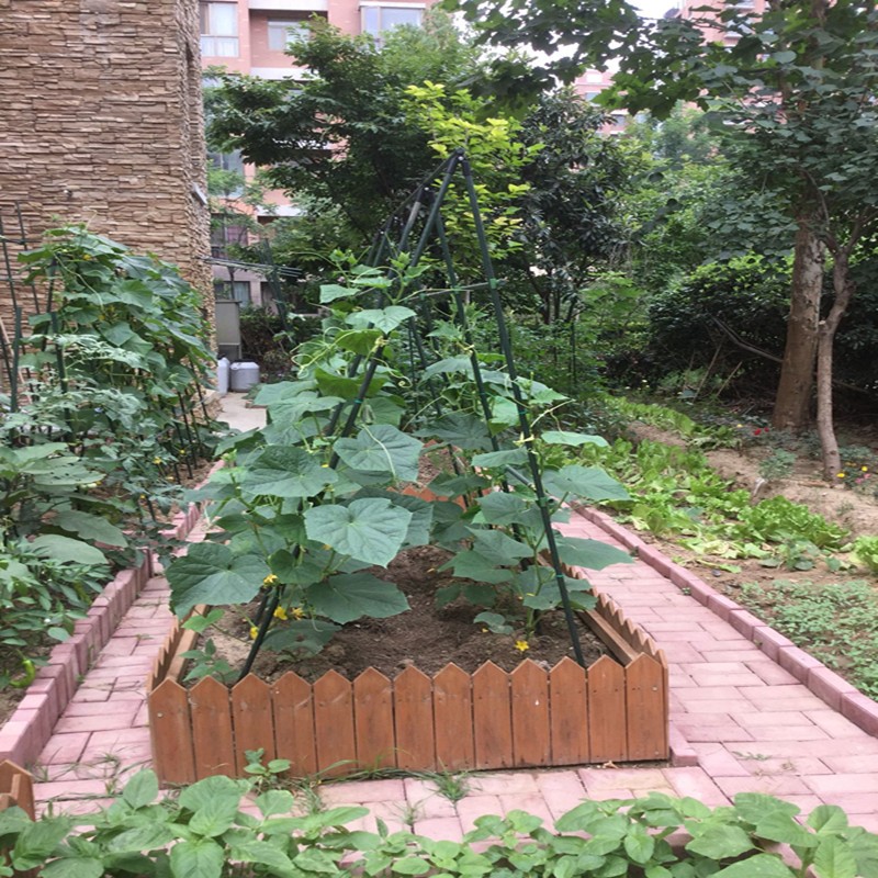 工厂销爬藤架户外豆角黄瓜固定植物花F架爬藤架丝瓜支撑杆花园庭