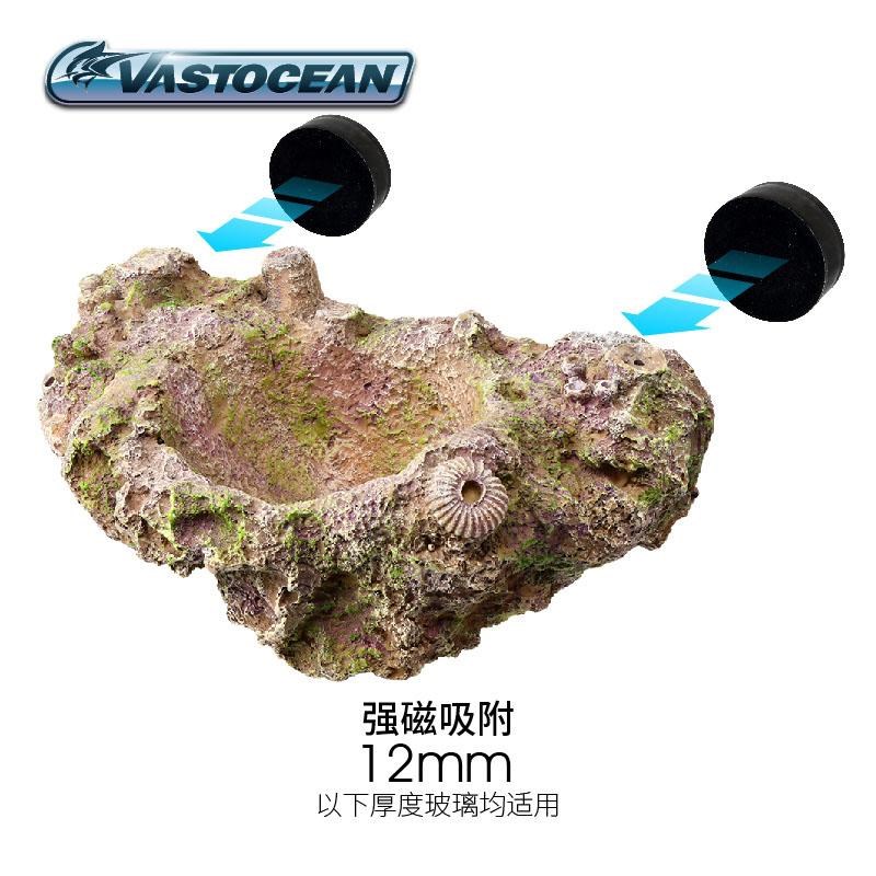 皇海葵巢磁吸f奶嘴杯防跑珊瑚罐子家屋海鱼缸造景装饰海葵窝固定