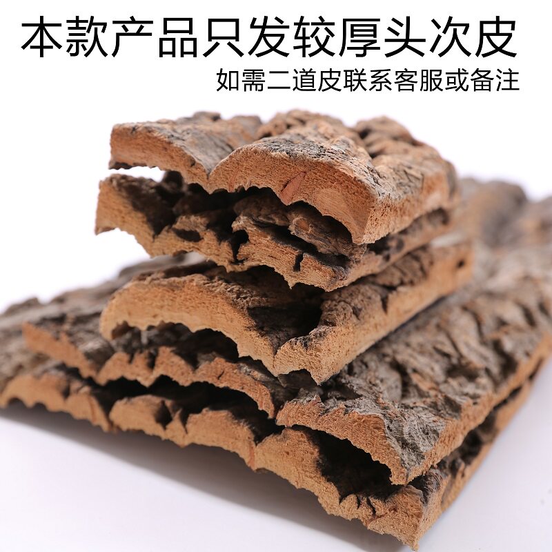 天然真树皮香槟树皮树桩空气凤梨底座I支架爬宠躲避水陆缸背景板