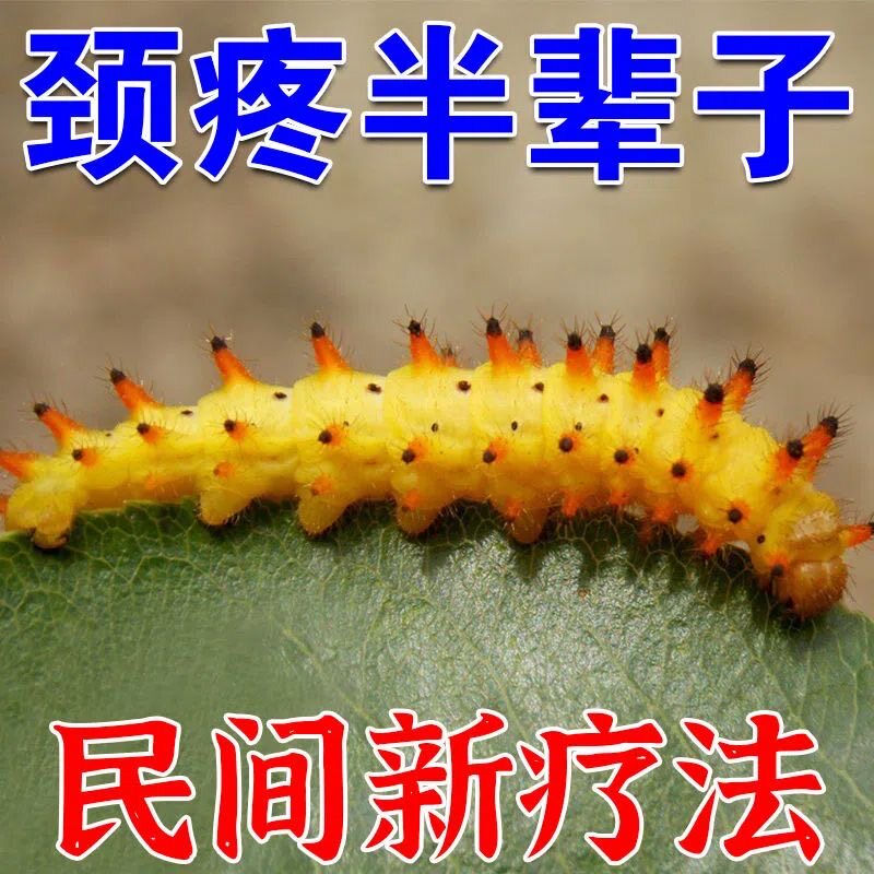 热销【一盒就购】颈椎病脖子疼背部僵硬压迫神经根痛特效膏贴MH
