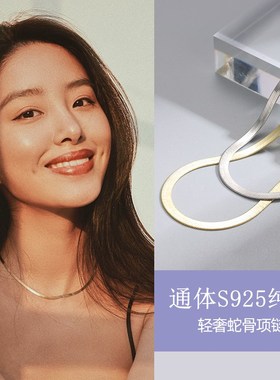 2024新款爆款纯银项链女蛇骨链高级感锁骨链脖颈链生日礼物送女生