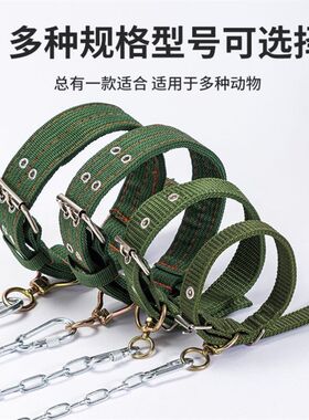 狗链子防咬铁链大型犬狗牵引绳金毛马犬德牧中型犬拴狗绳土狗铁链
