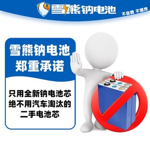 雪雄钠离子电池组平替锂电瓶两轮三轮电动车48v60v72伏外卖新国标